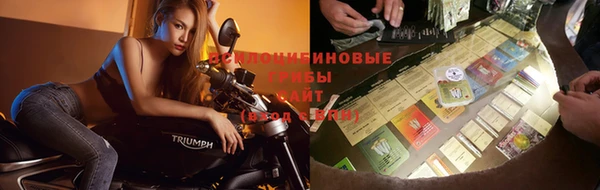ГАЛЛЮЦИНОГЕННЫЕ ГРИБЫ Магадан