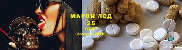 ПСИЛОЦИБИНОВЫЕ ГРИБЫ Магас