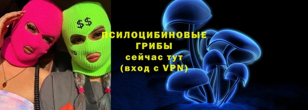 ГАЛЛЮЦИНОГЕННЫЕ ГРИБЫ Магадан