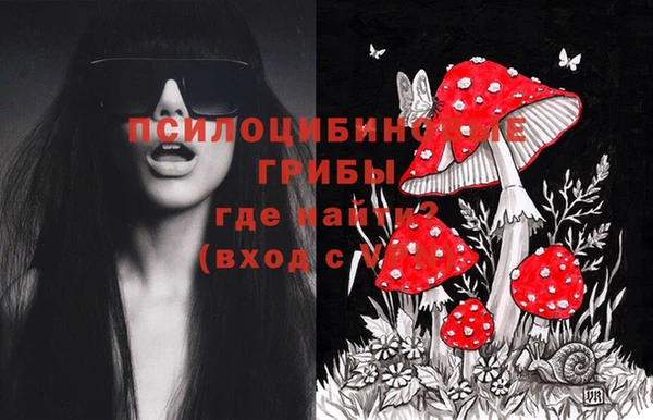 прущая мука Лабытнанги