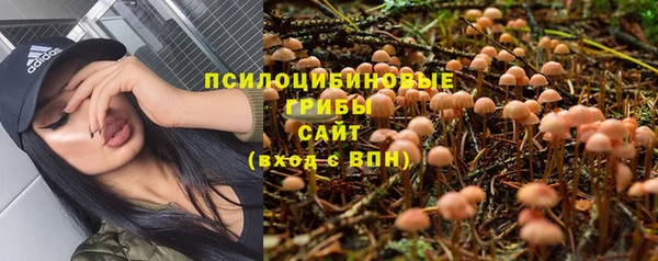 прущая мука Лабытнанги