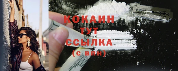 ПСИЛОЦИБИНОВЫЕ ГРИБЫ Магас