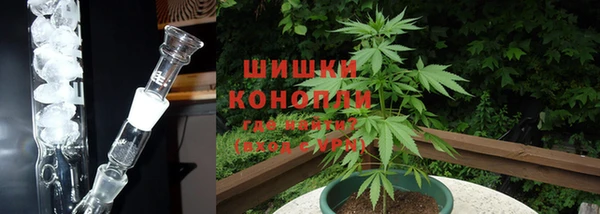 молекула духа Белая Холуница