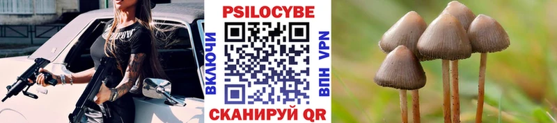 Псилоцибиновые грибы мицелий  Белая Холуница 