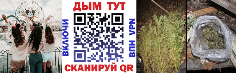 Бошки Шишки MAZAR  Белая Холуница 